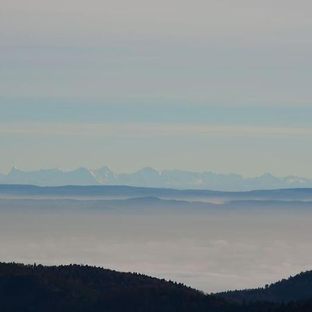 Doller Villa 4 Stars Hot Tub Mountain Ski Ballon D'Alsace Sewen Εξωτερικό φωτογραφία