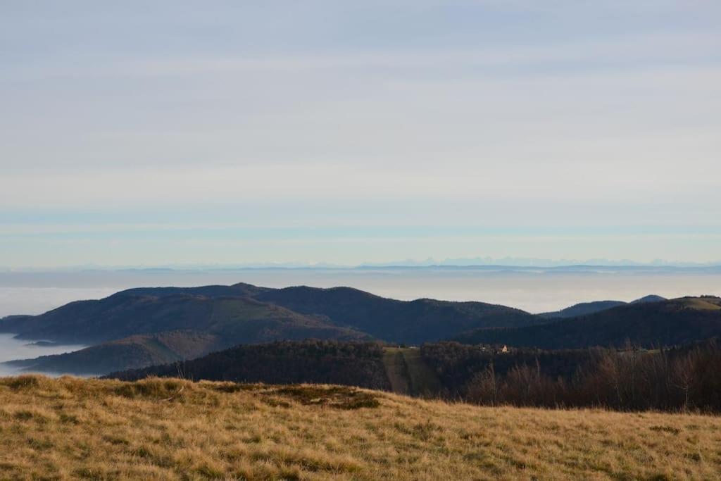 Doller Villa 4 Stars Hot Tub Mountain Ski Ballon D'Alsace Sewen Εξωτερικό φωτογραφία