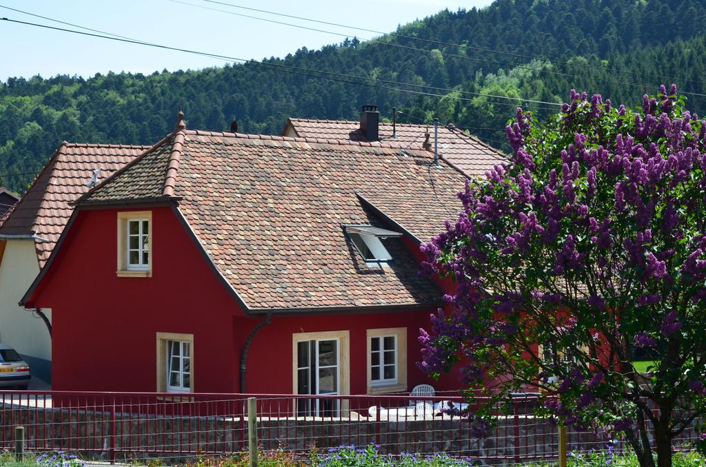 Doller Villa 4 Stars Hot Tub Mountain Ski Ballon D'Alsace Sewen Εξωτερικό φωτογραφία